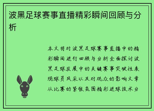 波黑足球赛事直播精彩瞬间回顾与分析