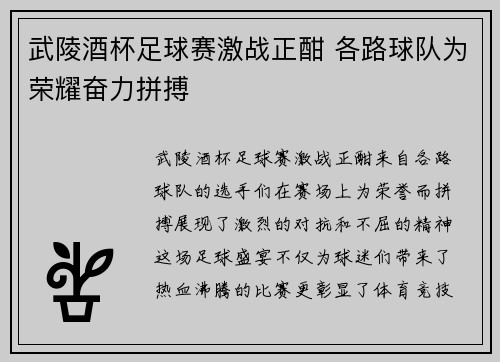 武陵酒杯足球赛激战正酣 各路球队为荣耀奋力拼搏