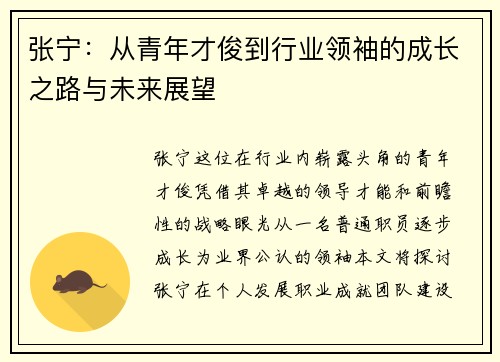 张宁：从青年才俊到行业领袖的成长之路与未来展望